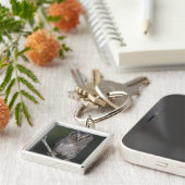 Eastern Screech Owl, Megascop asio, Otus 2 Sleutelhanger (Zijkant)