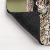 Eastern Screech Owl Muismat (Hoek)