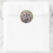 Eastern Screech Owl Photografen Ronde Sticker (Tas)