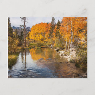 Eastern Sierra, bisschop Creek, California Outlet Briefkaart