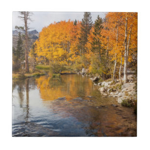 Eastern Sierra, bisschop Creek, California Outlet Tegeltje