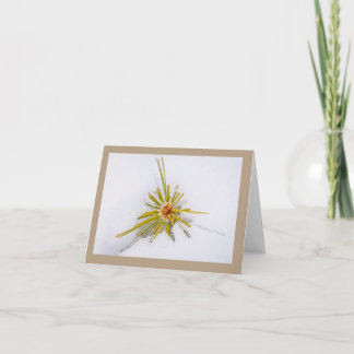 Eastern Sierra Snapshots-notitiekaarten Feestdagen Kaart