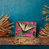 Eastern Swallowtail Fotoplaat (Zijkant)