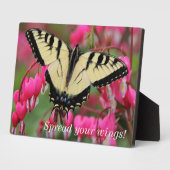 Eastern Swallowtail Fotoplaat (Zijkant)