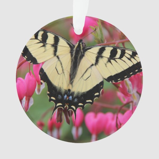 Eastern Swallowtail Ornament (voorkant)