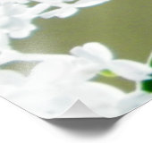 Eastern Tiger Swallowtail Butterfly Foto Foto Afdruk (Hoek)