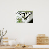Eastern Tiger Swallowtail Butterfly Foto Poster (Keuken)