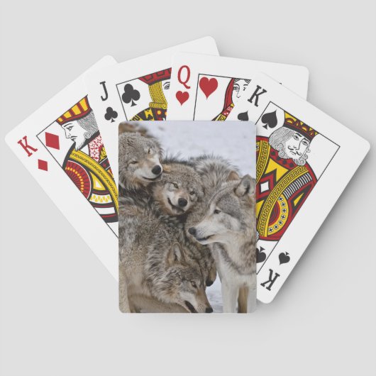 Eastern Timber Wolf Pokerkaarten (Achterkant)