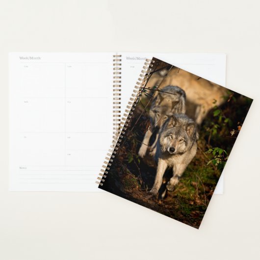 Eastern Timber Wolves Planner (Display)