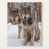Eastern Timber Wolves Planner (Achterkant)