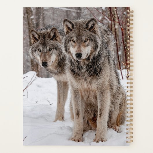 Eastern Timber Wolves Planner (Achterkant)
