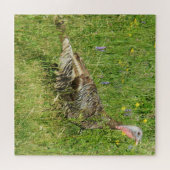 Eastern Wild Turkey Hen Puzzle (Horizontal)