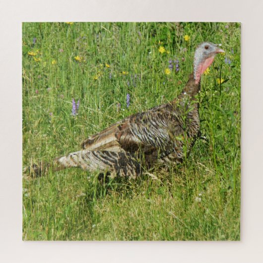 Eastern Wild Turkey Hen Puzzle (Vertical)