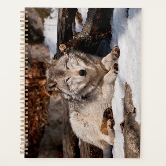 Easttern Gray Wolf Planner (Voorkant)