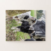 Easy Goat Baby Puzzle Legpuzzel (Horizontaal)