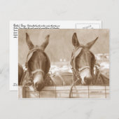 Easy Restin Briefkaart (Voorkant / Achterkant)