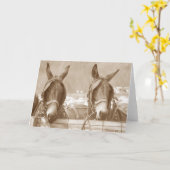 Easy Restin Kaart (Gele Bloem)