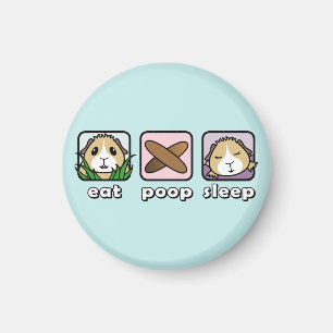 Eat Poop Sleep Guinee Pig Fridge Magnet Magneet