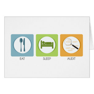 Eat Sleep Audit !