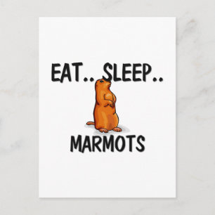 Eat Sleep MARMOTS Briefkaart