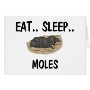 Eat Sleep MOLES
