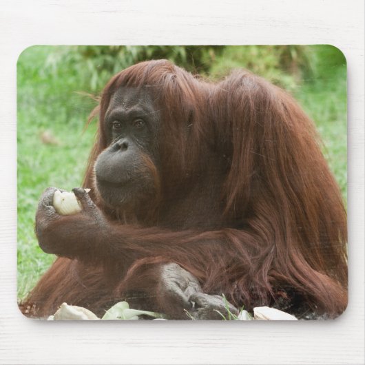 Eating Orangutan Muismat (Voorkant)