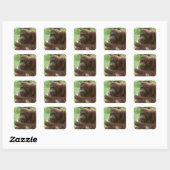 Eating Orangutan Vierkante Sticker (Vel)