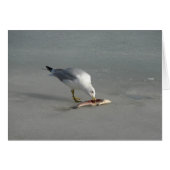 Eatvis (Voorkant Horizontaal)