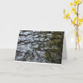 Eau, carte (Fleur jaune)