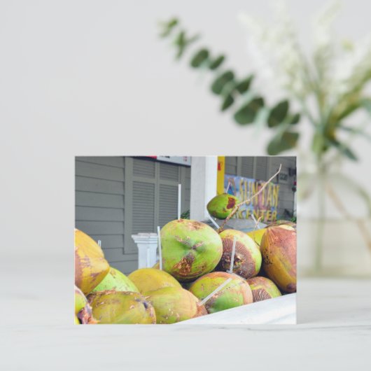 Eau de Coco Key West FL Noix de Coco Carte Postale (Debout devant)