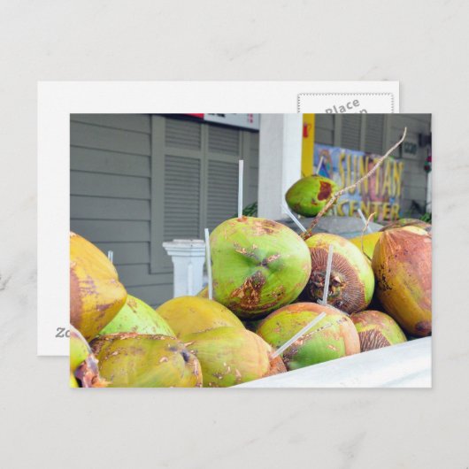 Eau de Coco Key West FL Noix de Coco Carte Postale (Devant / Derrière)