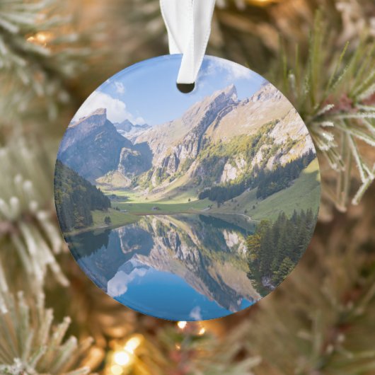 Eau | Lac Alpsee Suisse (Arbre)