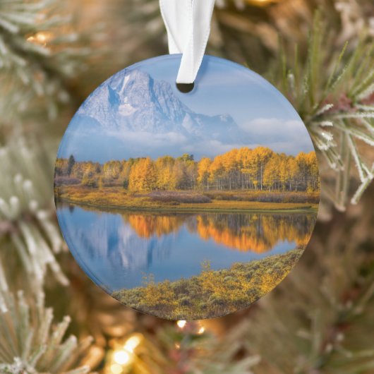 Eau | Oxbow Bend Jackson Wyoming (Arbre)