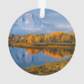 Eau | Oxbow Bend Jackson Wyoming (dos)