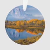 Eau | Oxbow Bend Jackson Wyoming (devant)