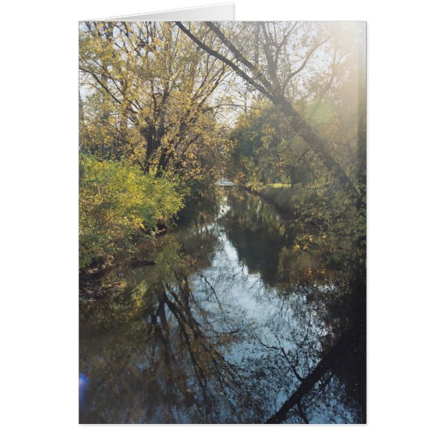 Eau Reflétant les arbres (Devant)