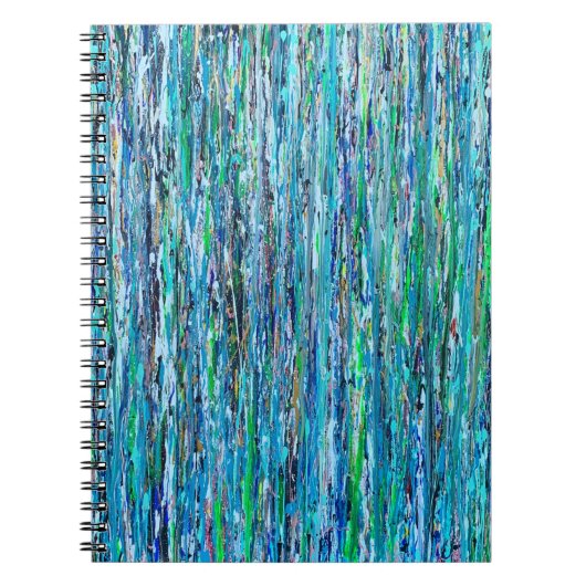 Eau sous le Carnet du pont (Devant)