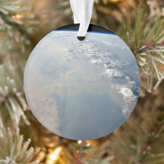 Eaux Bleues Tropicales Du Golfe Persique. 2 (Arbre)