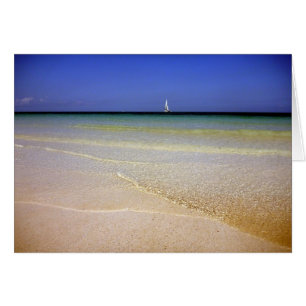 eaux claires bahamas