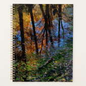Eaux d'automne (Devant)