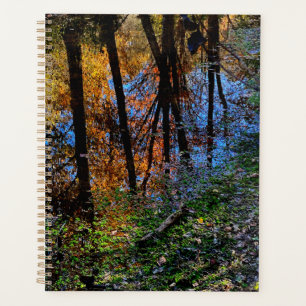 Eaux d'automne