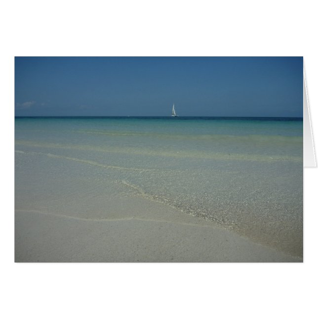 eaux des bahamas (Devant horizontal)