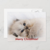 eBay 003, Vrolijk kerstfeest! Feestdagenkaart (Voorkant / Achterkant)