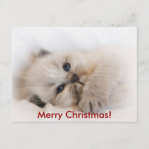 eBay 003, Vrolijk kerstfeest! Feestdagenkaart