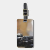 Ebony Bagagelabel (Voorkant verticaal)