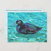 Ebony Duck - Briefkaart (Voorkant / Achterkant)