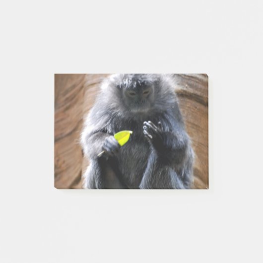 Ebony Langur Post-it® Notes (Voorkant)