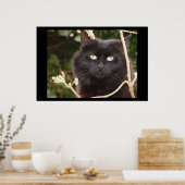 Ebony Poster (Keuken)