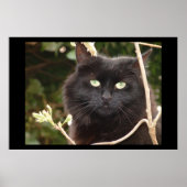 Ebony Poster (Voorkant)