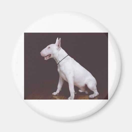 EBT MAGNEET (Voorkant)